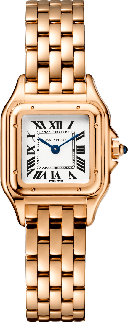 panthere de cartier price